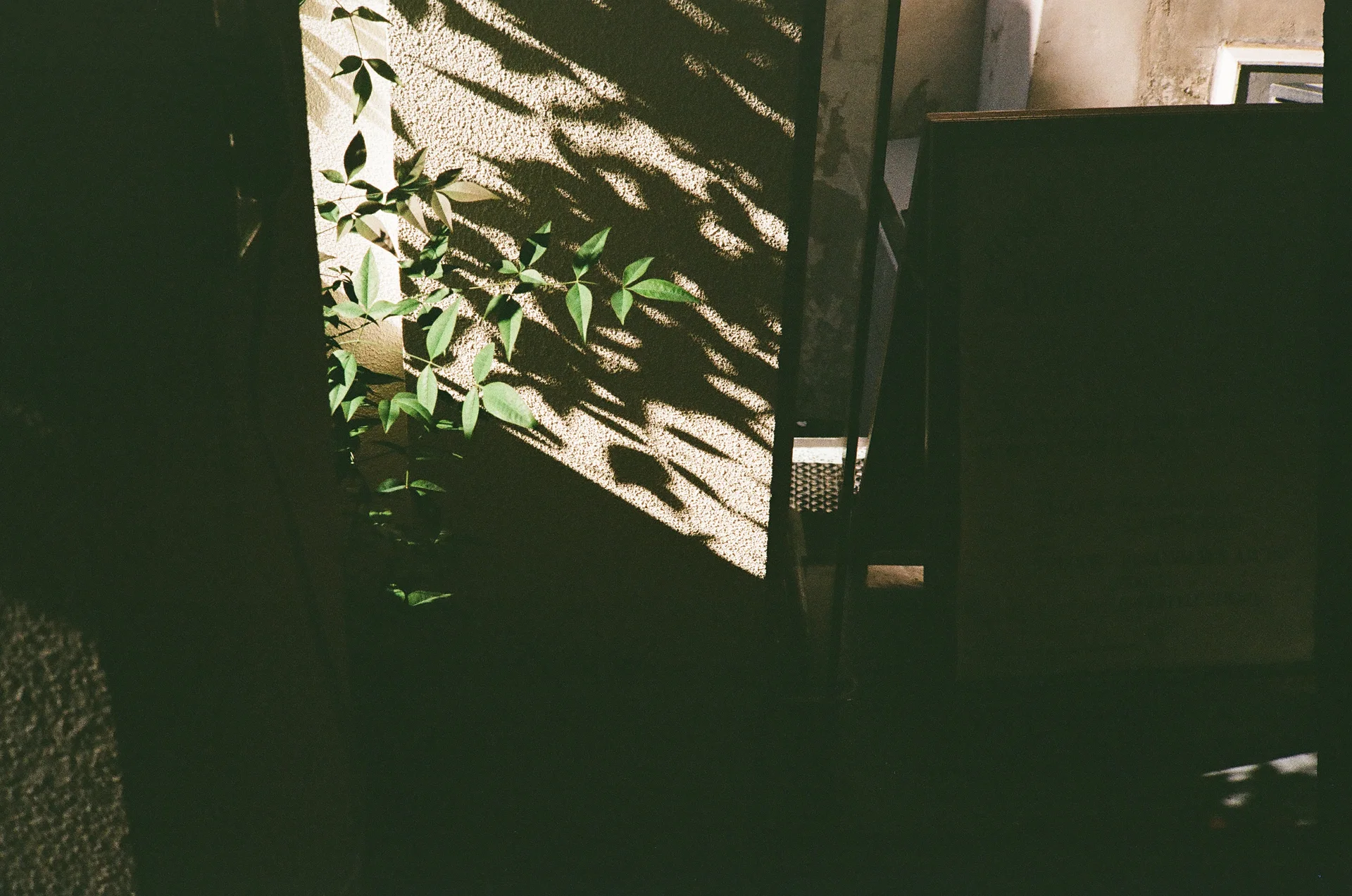 QOOO Journal 사진 28